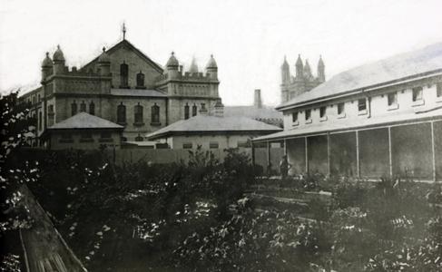'The Cottage' or 'Temporary Medical School' between Zoology and the Macleay Museum. From Shewan's papers. Photographer unknown, Photo courtesy of University of Sydney Archives, Copyright University of Sydney